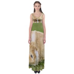 Beautiful Blue Eyed Bunny On Green Grass Empire Waist Maxi Dress