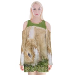 Beautiful Blue Eyed Bunny On Green Grass Velvet Long Sleeve Shoulder Cutout Dress