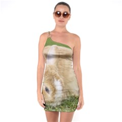 Beautiful Blue Eyed Bunny On Green Grass One Soulder Bodycon Dress