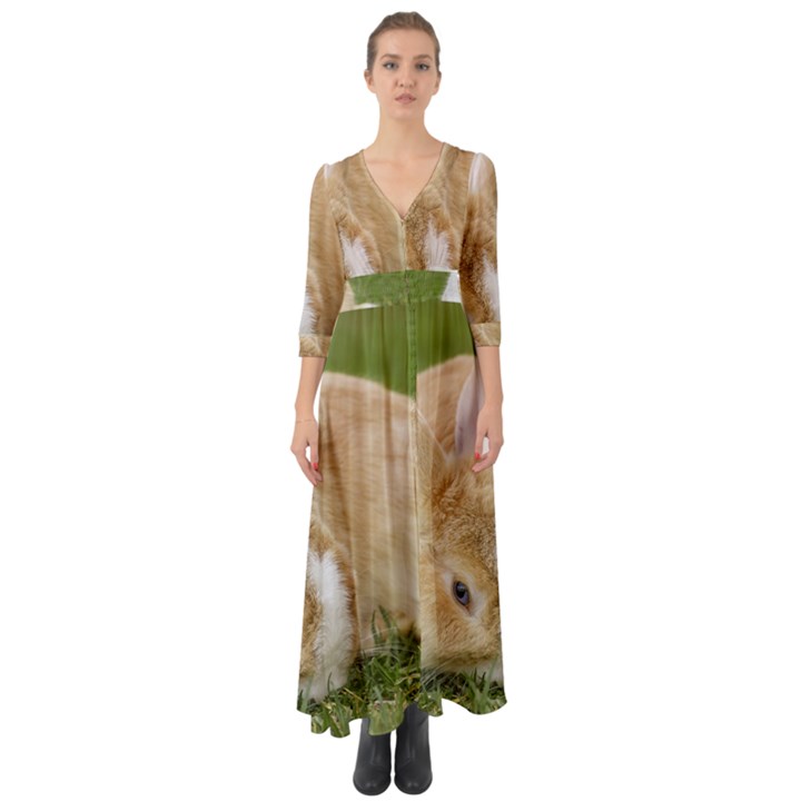 Beautiful Blue Eyed Bunny On Green Grass Button Up Boho Maxi Dress