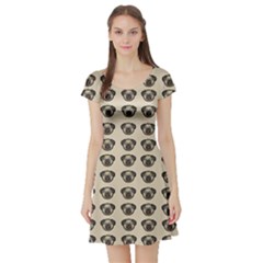 Puppy Dog Pug Pup Graphic Short Sleeve Skater Dress by Celenk