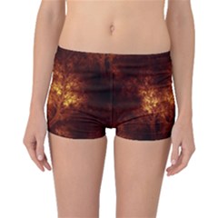 Artsy Brown Trees Boyleg Bikini Bottoms