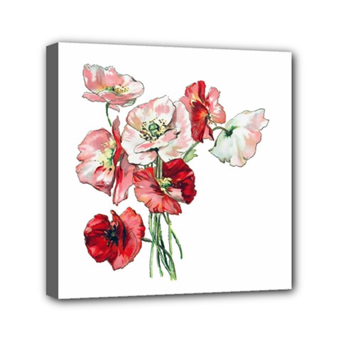 Flowers Poppies Poppy Vintage Mini Canvas 6  X 6  by Celenk