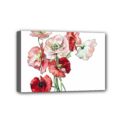 Flowers Poppies Poppy Vintage Mini Canvas 6  X 4  by Celenk