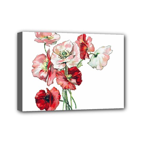 Flowers Poppies Poppy Vintage Mini Canvas 7  X 5  by Celenk