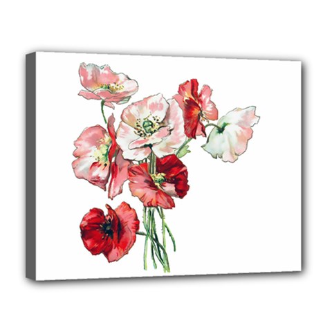 Flowers Poppies Poppy Vintage Canvas 14  X 11  by Celenk