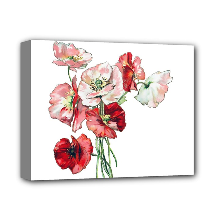 Flowers Poppies Poppy Vintage Deluxe Canvas 14  x 11 