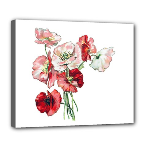 Flowers Poppies Poppy Vintage Deluxe Canvas 24  X 20   by Celenk