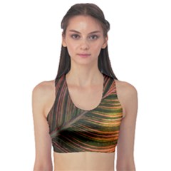 Leaf Colorful Nature Orange Season Sports Bra by Celenk