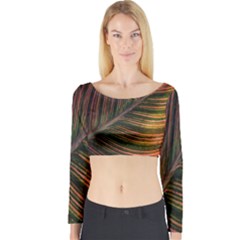 Leaf Colorful Nature Orange Season Long Sleeve Crop Top by Celenk