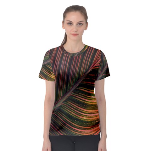 Leaf Colorful Nature Orange Season Women s Sport Mesh Tee by Celenk