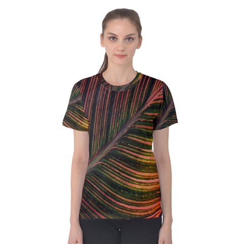 Leaf Colorful Nature Orange Season Women s Cotton Tee by Celenk