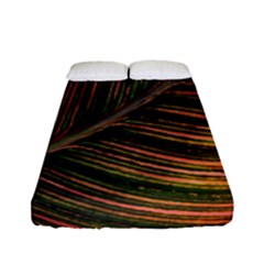 Leaf Colorful Nature Orange Season Fitted Sheet (full/ Double Size) by Celenk