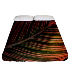 Leaf Colorful Nature Orange Season Fitted Sheet (california King Size) by Celenk