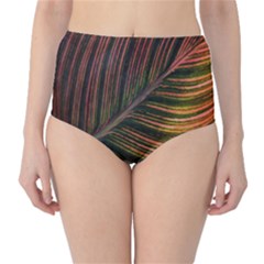 Leaf Colorful Nature Orange Season High-waist Bikini Bottoms by Celenk