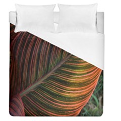 Leaf Colorful Nature Orange Season Duvet Cover (queen Size) by Celenk