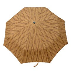 Wood Background Backdrop Plank Folding Umbrellas by Celenk