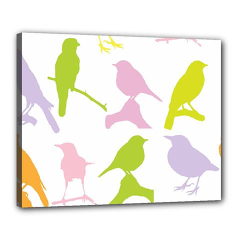 Birds Colourful Background Canvas 20  X 16  by Celenk