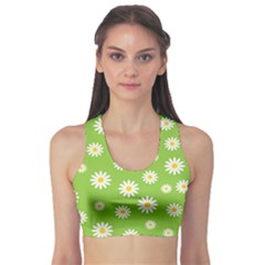 Daisy Flowers Floral Wallpaper Sports Bra by Celenk