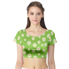 Daisy Flowers Floral Wallpaper Short Sleeve Crop Top by Celenk