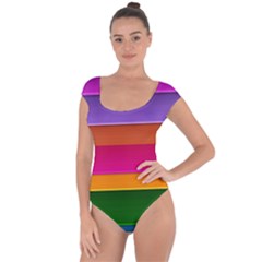 Stripes Striped Design Pattern Short Sleeve Leotard 