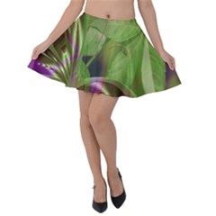 Arrangement Butterfly Aesthetics Velvet Skater Skirt