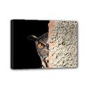 Owl Hiding Peeking Peeping Peek Mini Canvas 7  x 5  View1