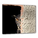 Owl Hiding Peeking Peeping Peek Canvas 24  x 20  View1