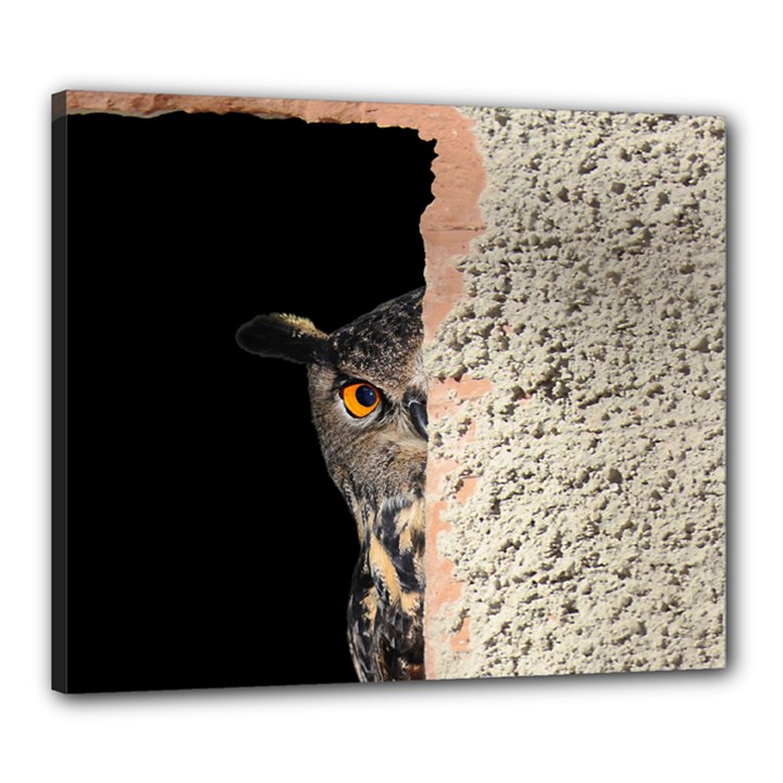 Owl Hiding Peeking Peeping Peek Canvas 24  x 20 