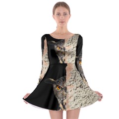 Owl Hiding Peeking Peeping Peek Long Sleeve Skater Dress by Celenk