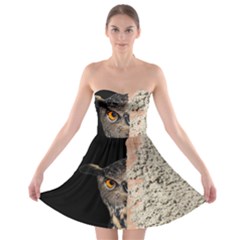 Owl Hiding Peeking Peeping Peek Strapless Bra Top Dress by Celenk