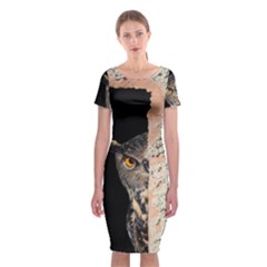 Owl Hiding Peeking Peeping Peek Classic Short Sleeve Midi Dress by Celenk