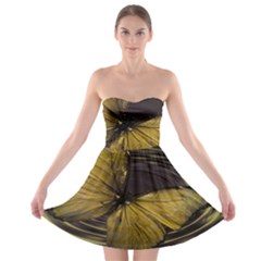 Butterfly Insect Wave Concentric Strapless Bra Top Dress by Celenk