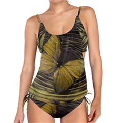 Butterfly Insect Wave Concentric Tankini Set