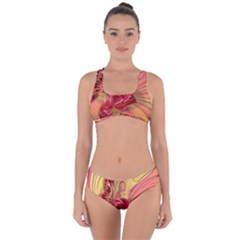 Arrangement Butterfly Aesthetics Criss Cross Bikini Set