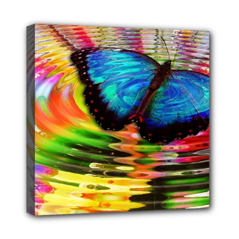 Blue Morphofalter Butterfly Insect Mini Canvas 8  X 8  by Celenk