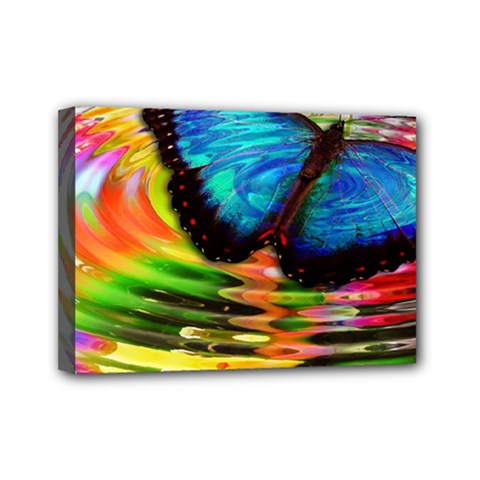 Blue Morphofalter Butterfly Insect Mini Canvas 7  X 5  by Celenk