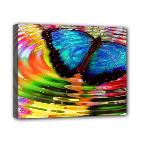 Blue Morphofalter Butterfly Insect Canvas 10  X 8  by Celenk