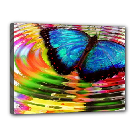 Blue Morphofalter Butterfly Insect Canvas 16  X 12  by Celenk