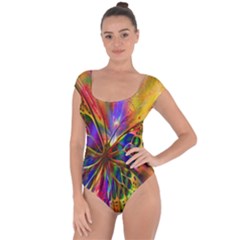 Arrangement Butterfly Aesthetics Short Sleeve Leotard 