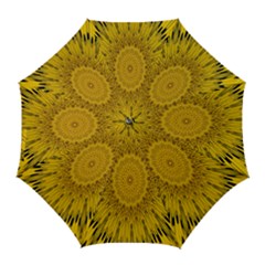 Pattern Petals Pipes Plants Golf Umbrellas by Celenk