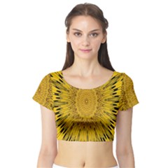 Pattern Petals Pipes Plants Short Sleeve Crop Top by Celenk