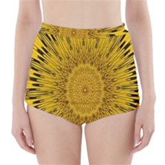 Pattern Petals Pipes Plants High-waisted Bikini Bottoms by Celenk