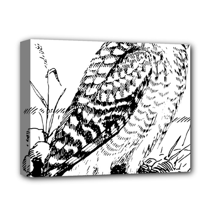 Animal Bird Forest Nature Owl Deluxe Canvas 14  x 11 