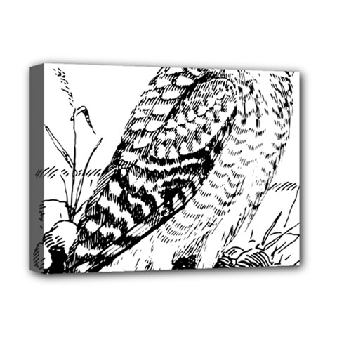 Animal Bird Forest Nature Owl Deluxe Canvas 16  X 12   by Celenk