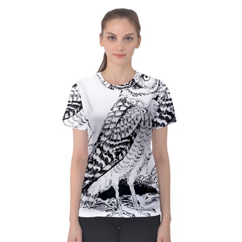 Animal Bird Forest Nature Owl Women s Sport Mesh Tee by Celenk