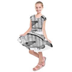 Animal Fish Ocean Sea Kids  Short Sleeve Dress by Celenk