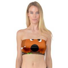 Baby Decoration Cat Dog Stuff Bandeau Top by Celenk