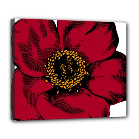 Floral Flower Petal Plant Deluxe Canvas 24  X 20   by Celenk