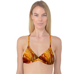 Flowers Leaves Leaf Floral Summer Reversible Tri Bikini Top by Celenk